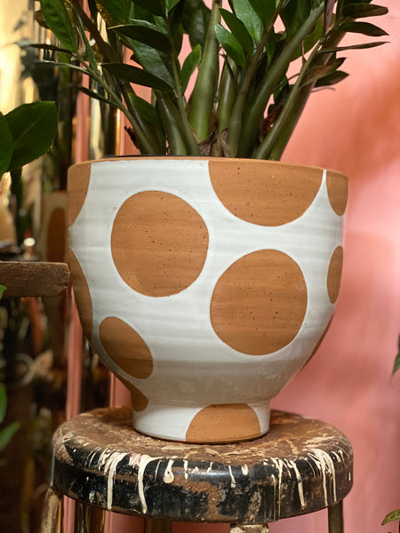 Large Spotted Terra Cotta Pot