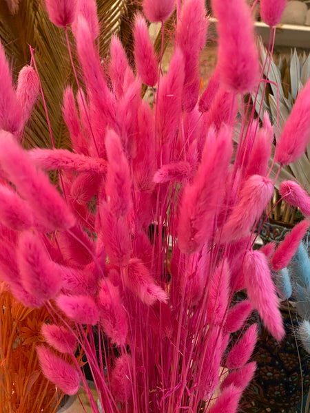 Hot Pink Dried Bunny Tail Grass Bundle