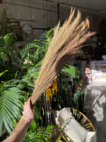 Tiger Grass Bundle